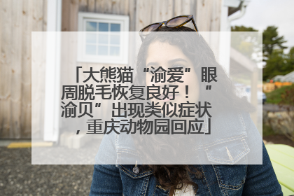 大熊猫“渝爱”眼周脱毛恢复良好！“渝贝”出现类似症状，重庆动物园回应